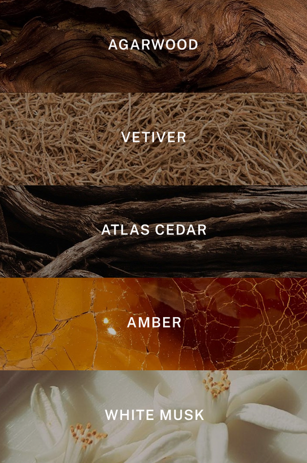 Signature Gift Set - Scent Notes