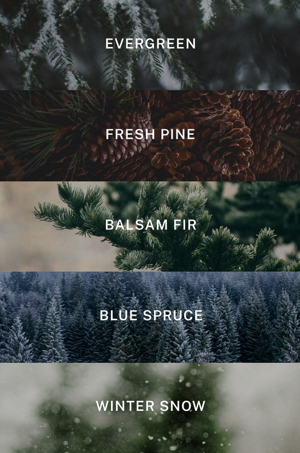Holiday Candle - Scent Notes