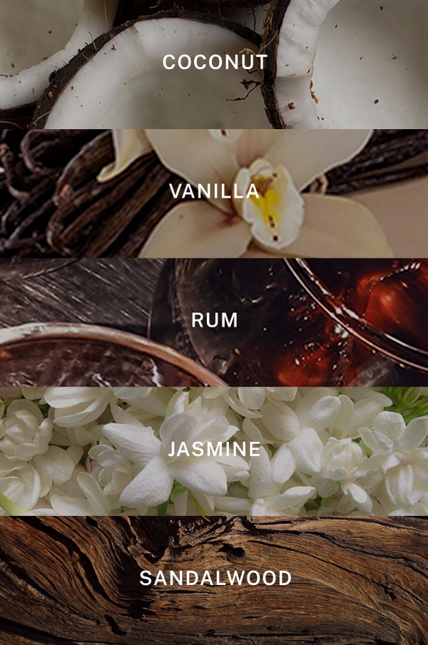 Island Reed Diffuser Refill - Scent Notes