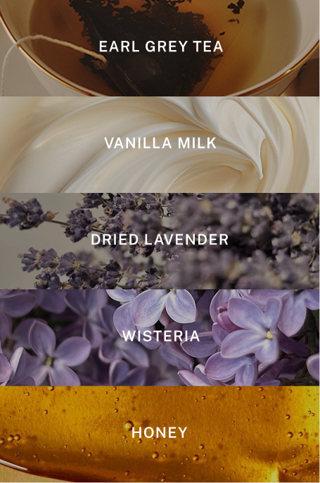 London Hand Wash Refill - Scent Notes