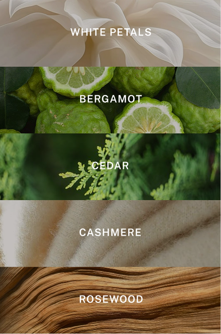 Miami Hand Cream Refill - Scent Notes