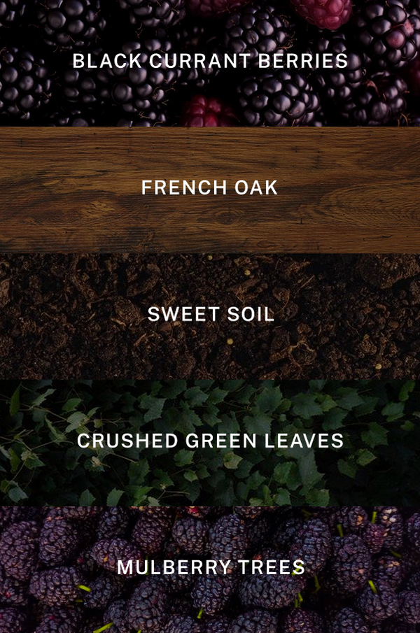 Napa Valley Candle - Scent Notes