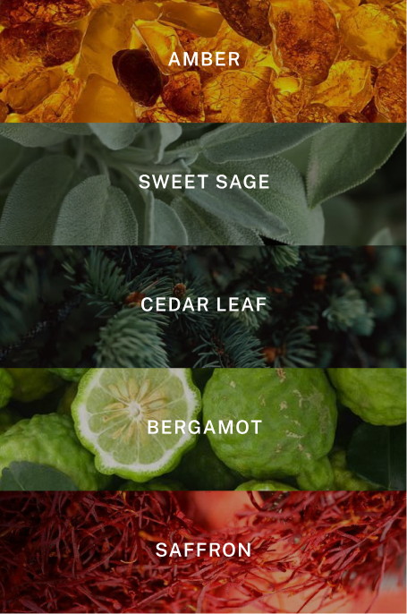 New York Hand Cream Refill - Scent Notes