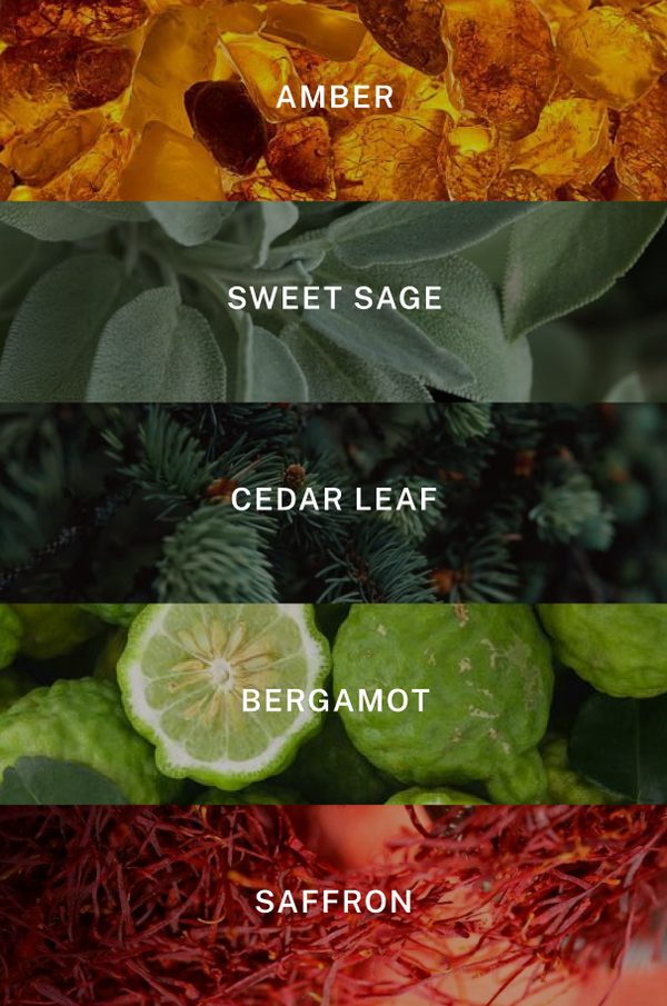 New York Hand Cream - Scent Notes