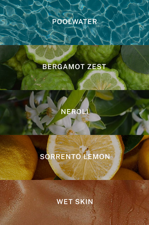 Poolside Candle - Scent Notes