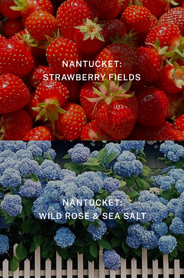 Nantucket Gift Set - Scent Notes