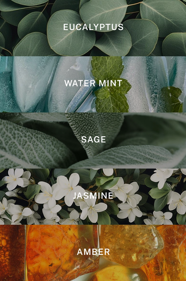 Spa Candle - Scent Notes